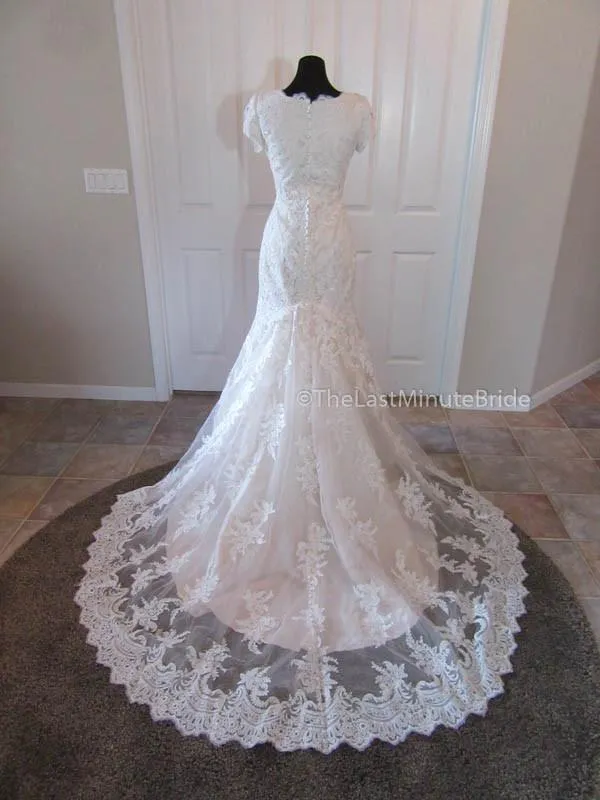 Allure Bridals M556