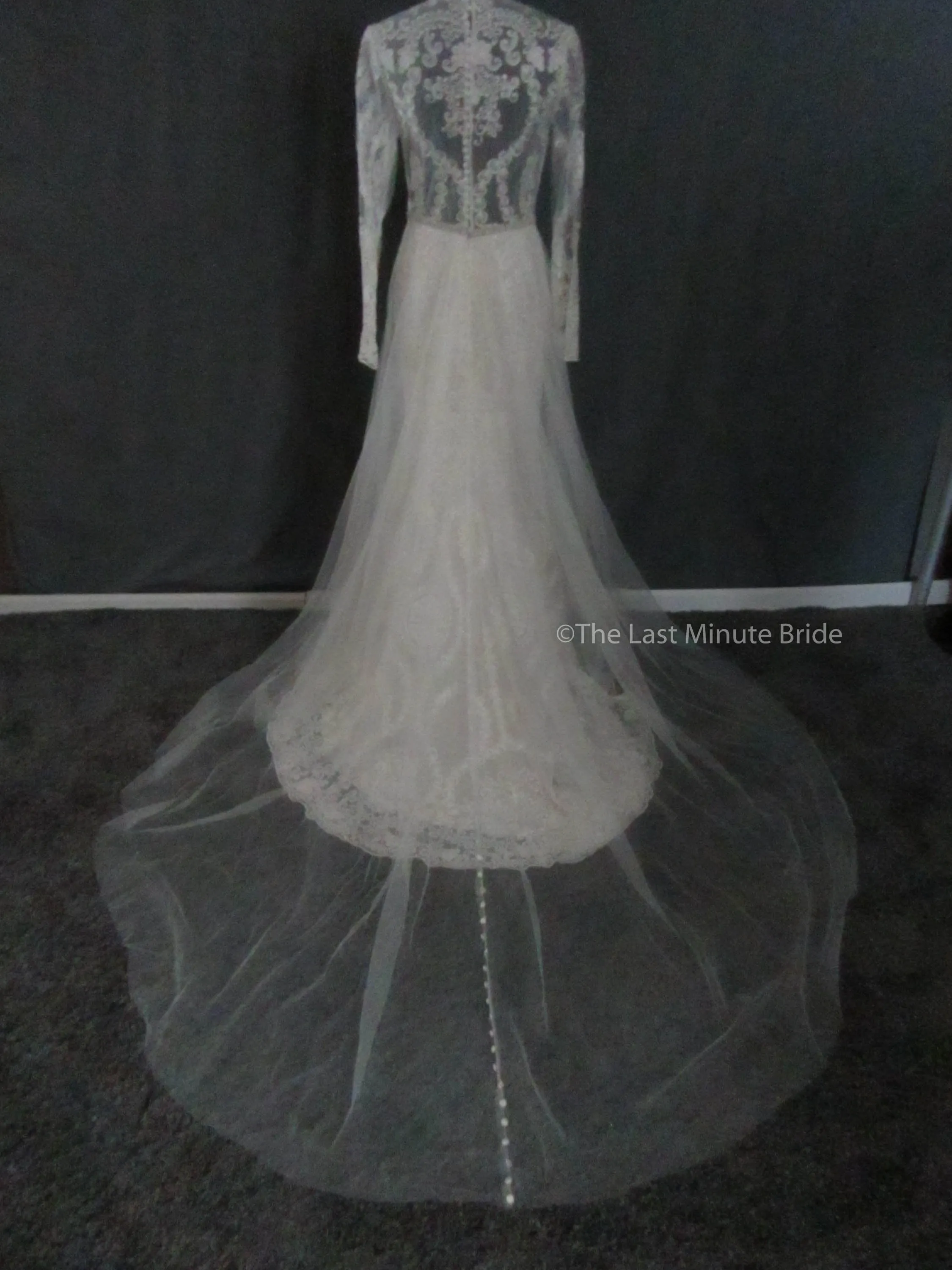 Allure Bridals Style 9567 (Nude/Champ/Iv) In-Stock