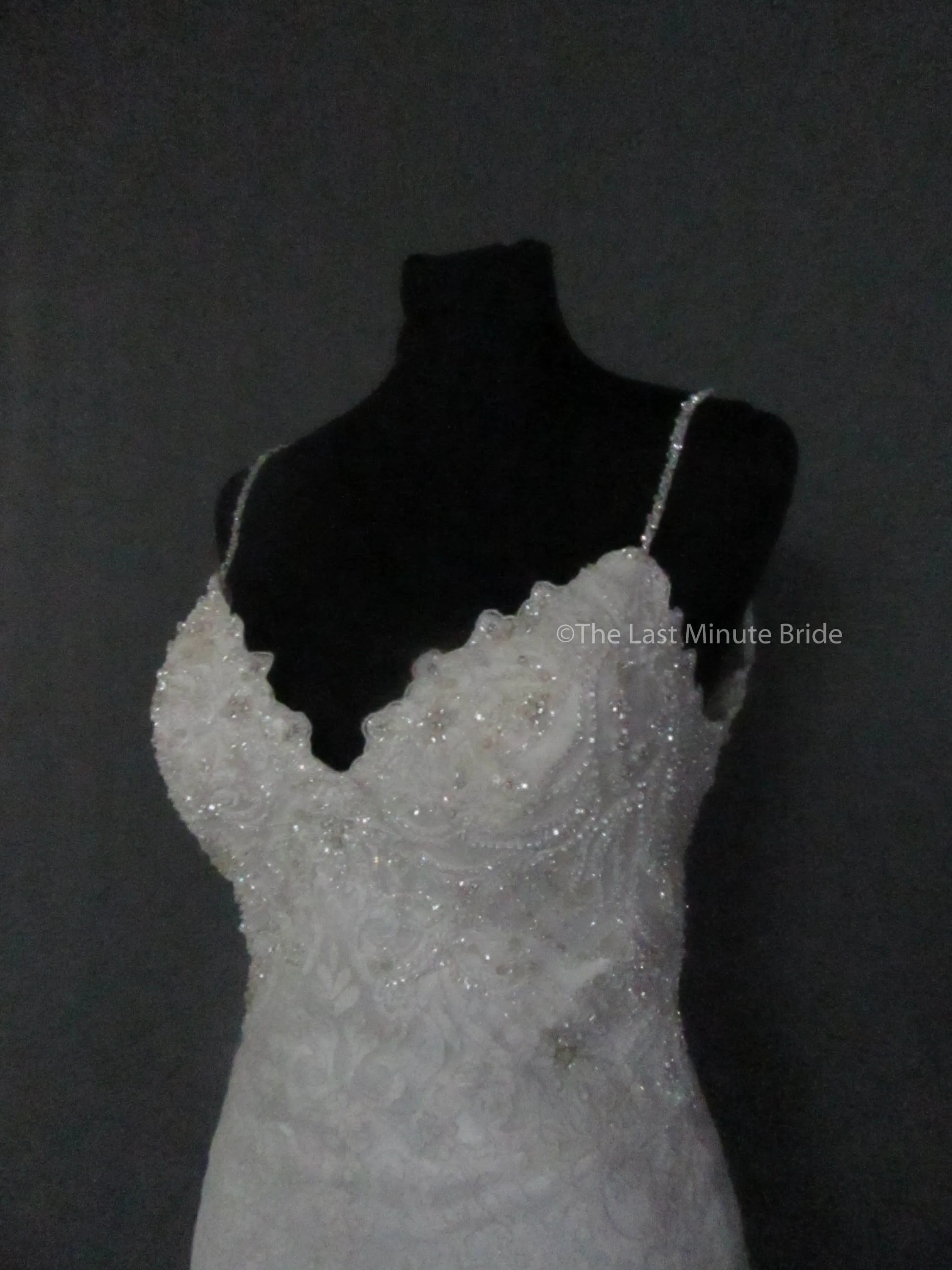 Allure Couture C458