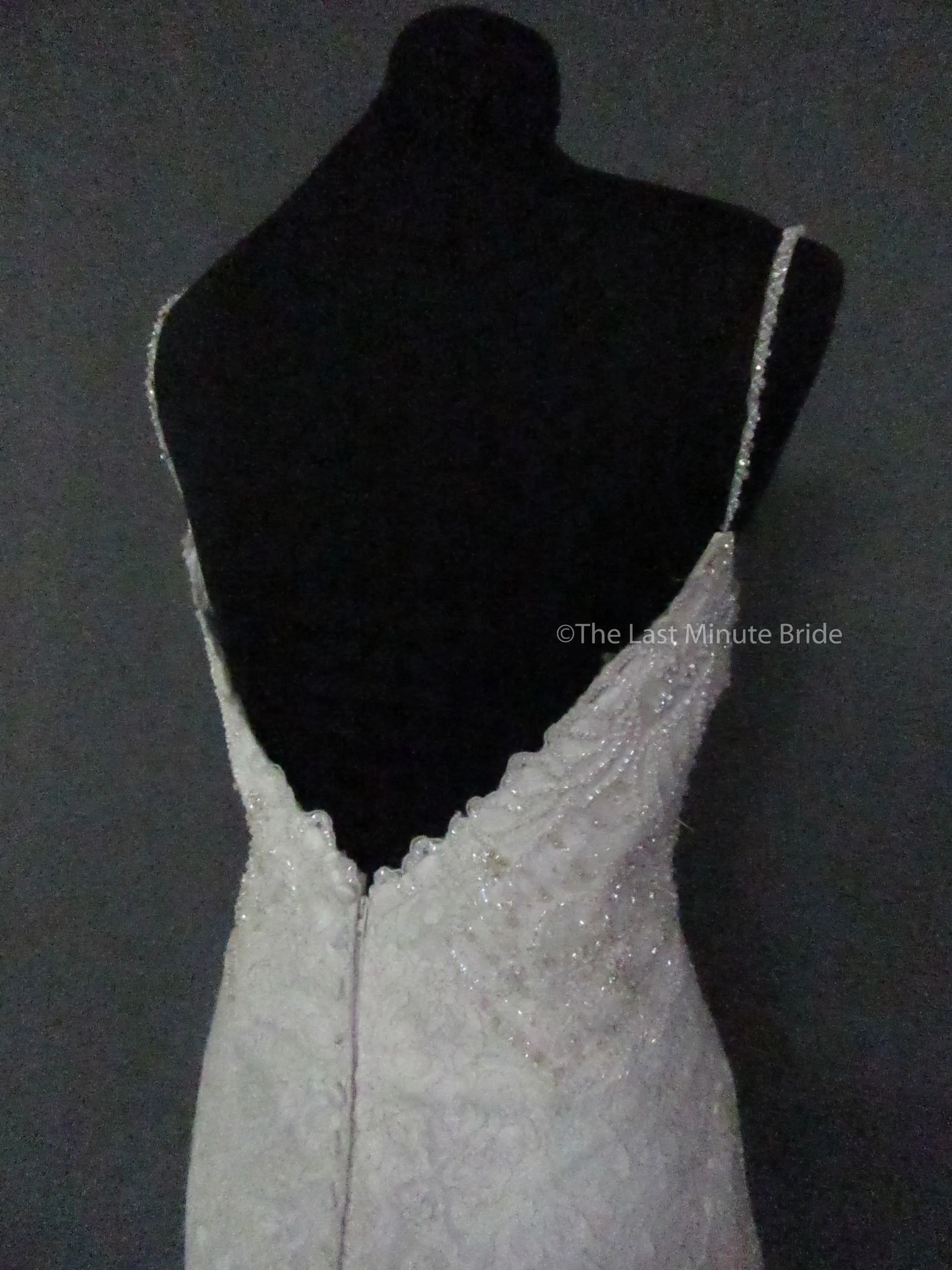 Allure Couture C458