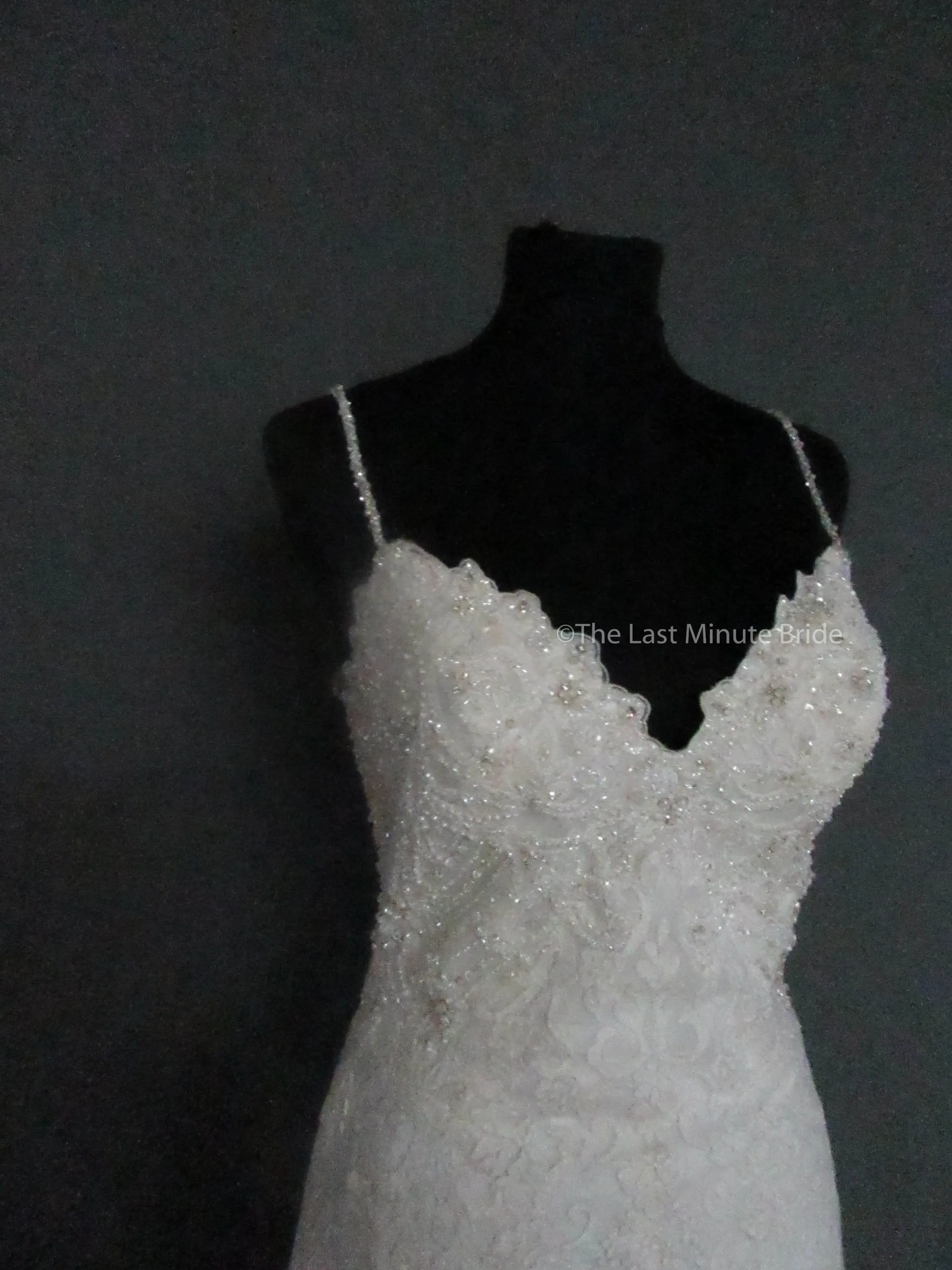 Allure Couture C458