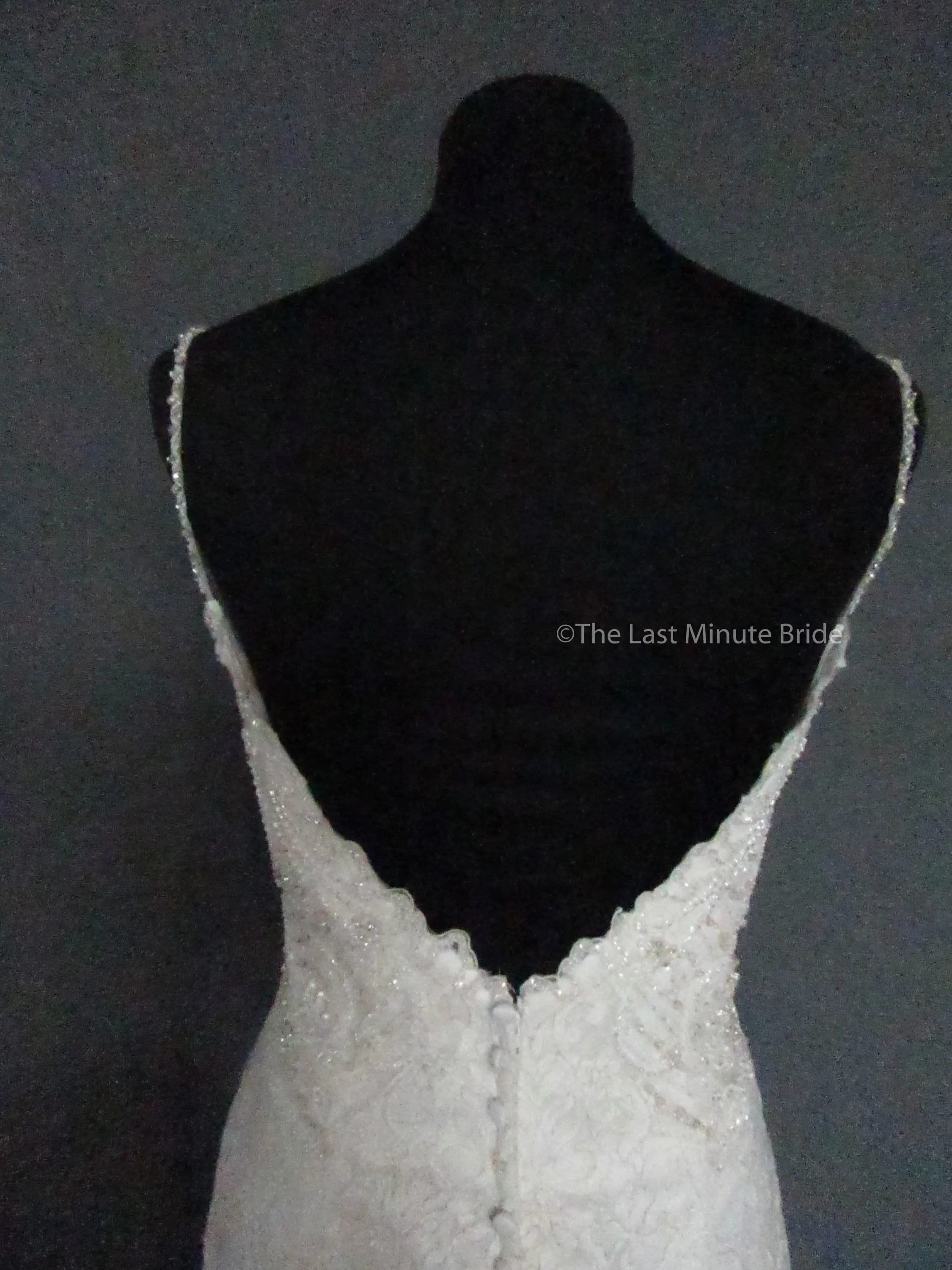 Allure Couture C458