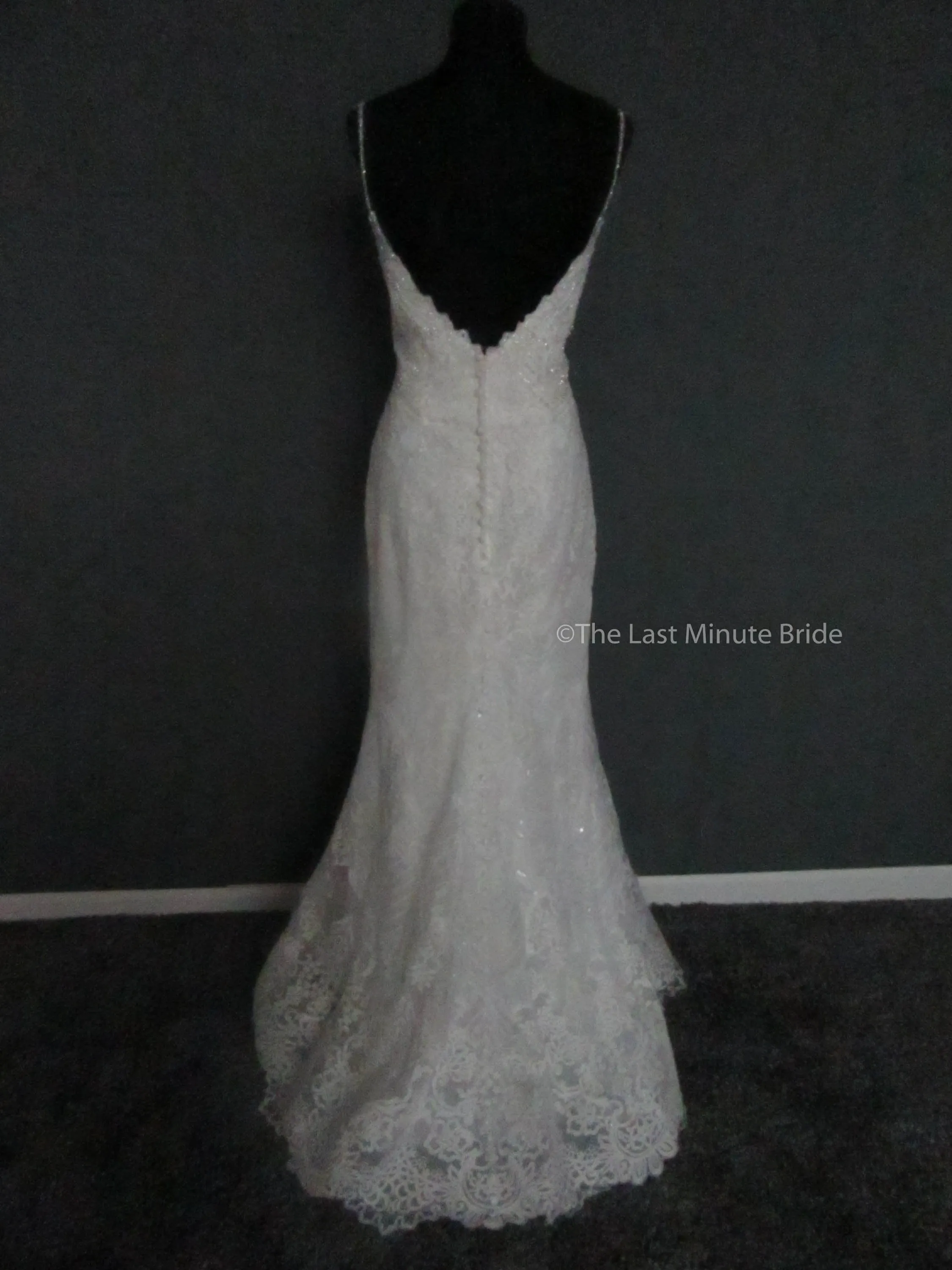 Allure Couture C458