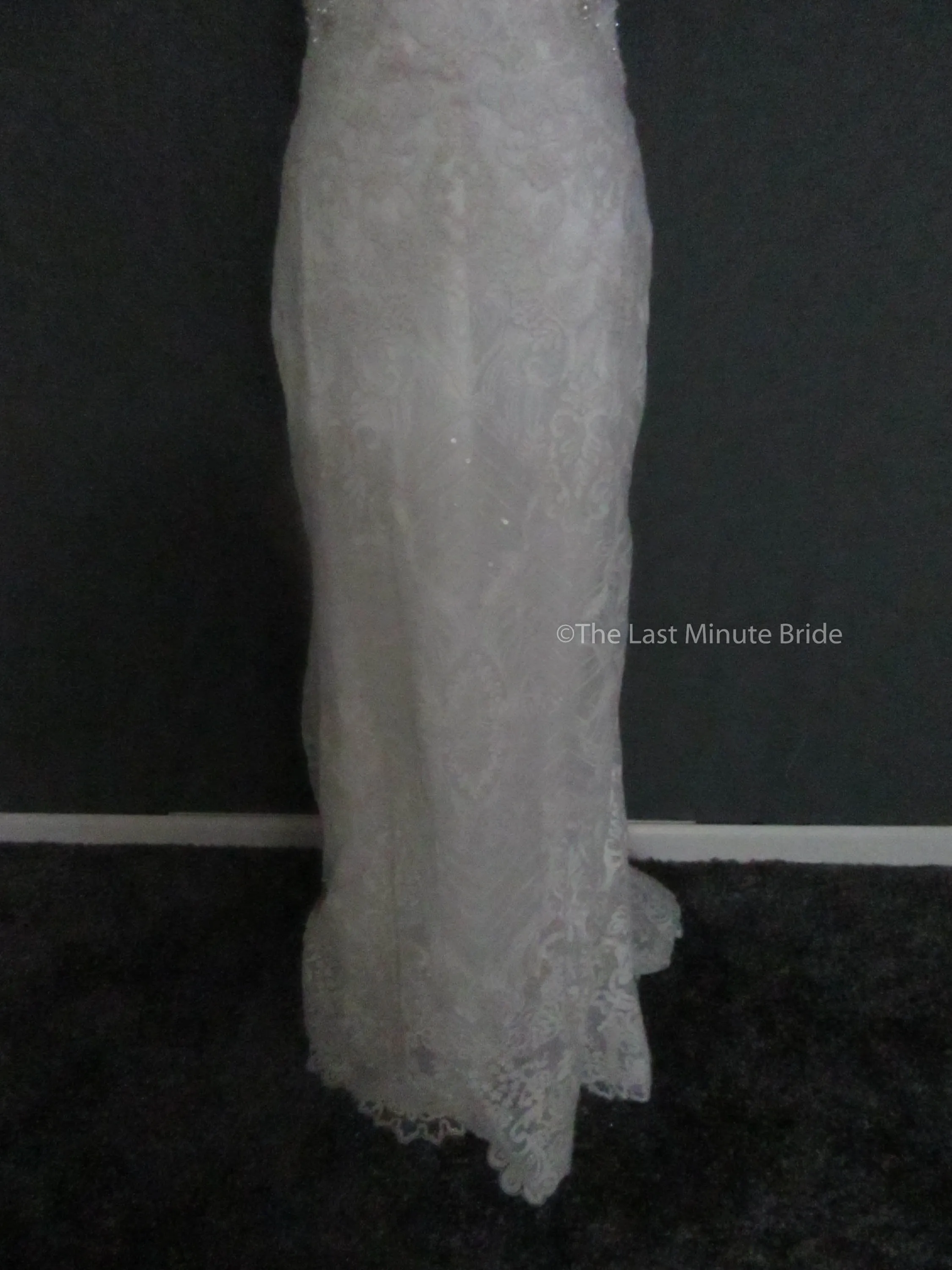 Allure Couture C458