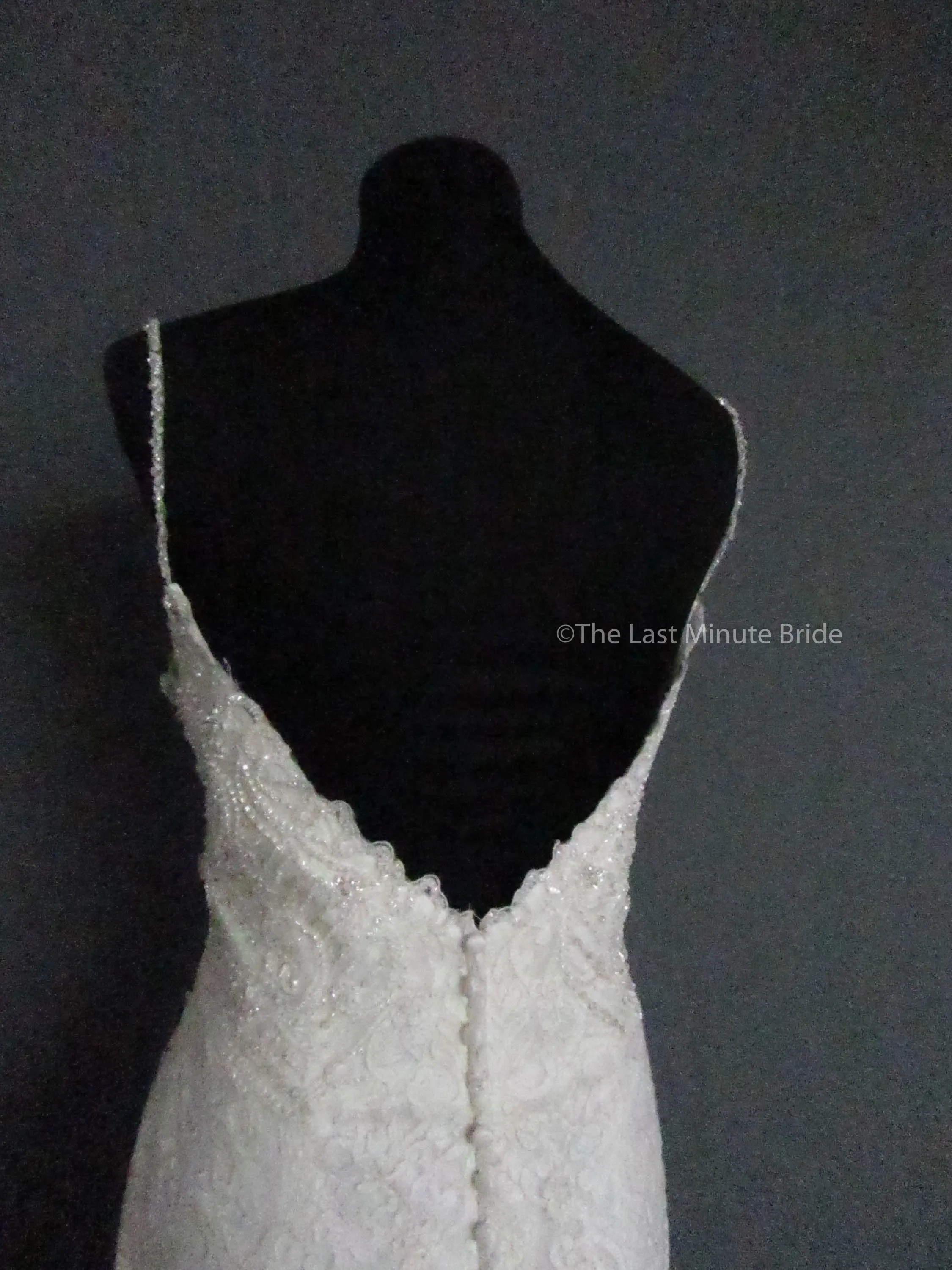 Allure Couture C458