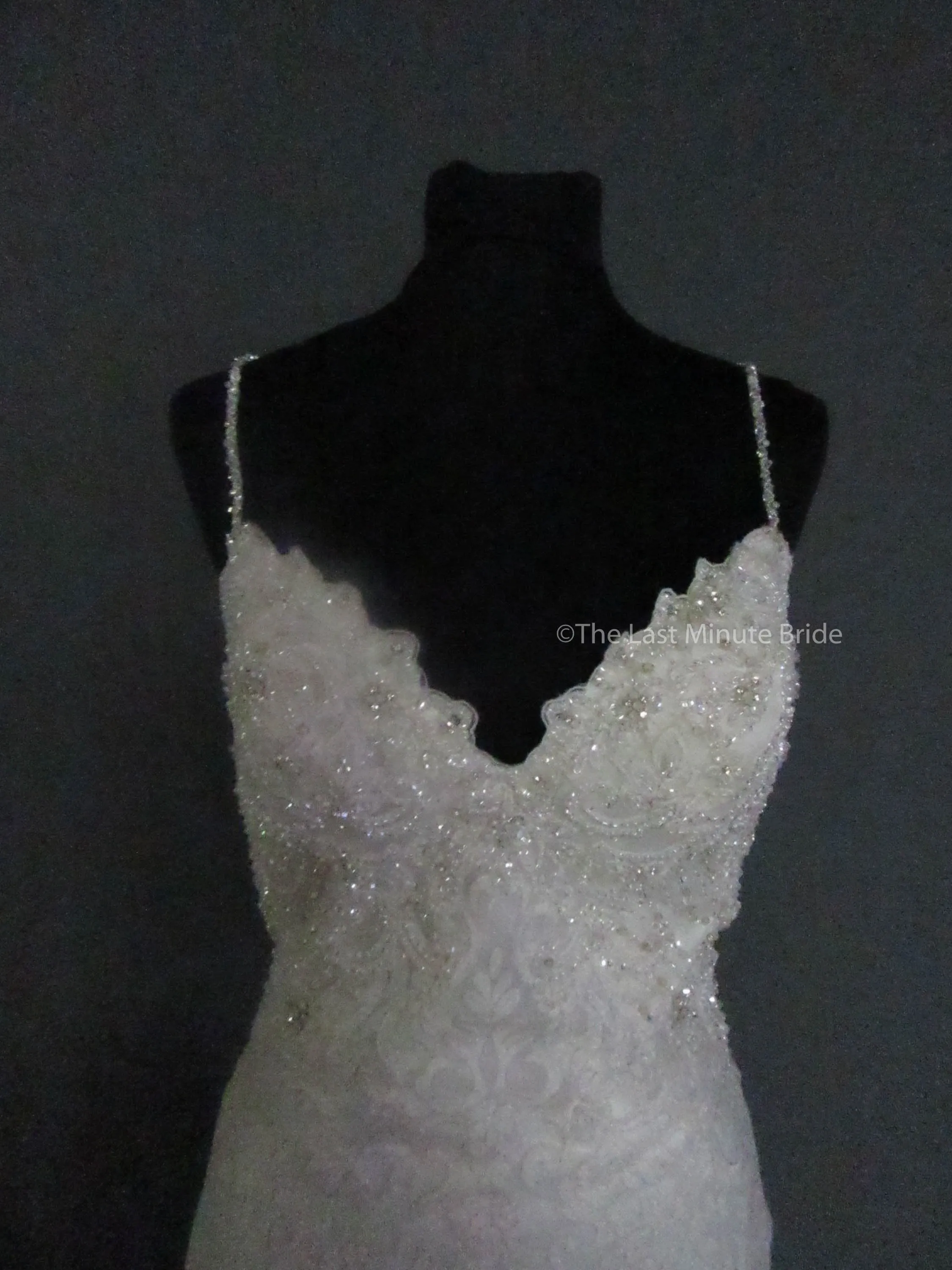 Allure Couture C458