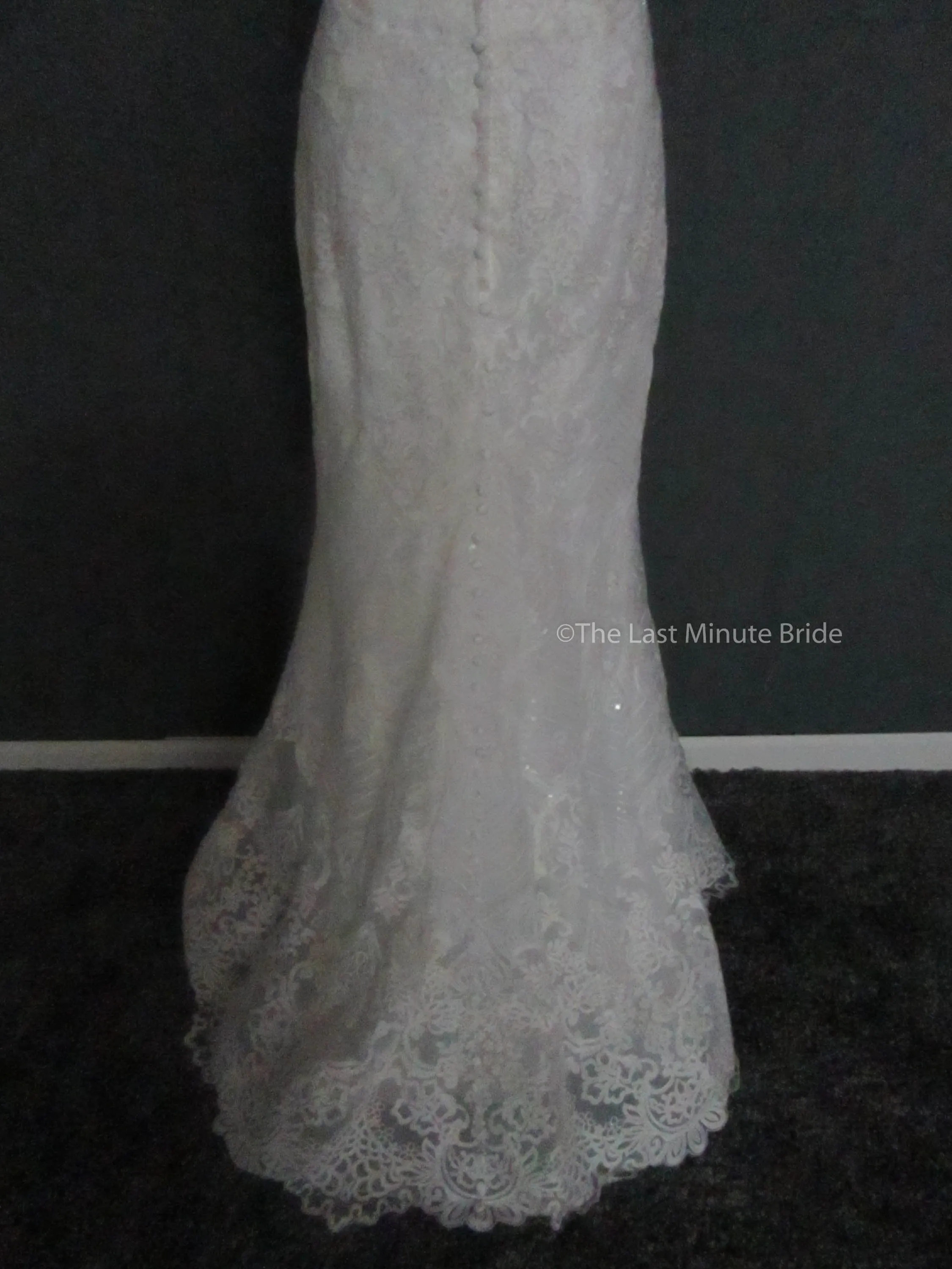 Allure Couture C458