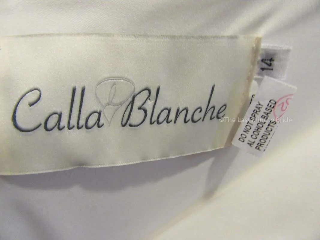 Calla Blanche Estelle 19115