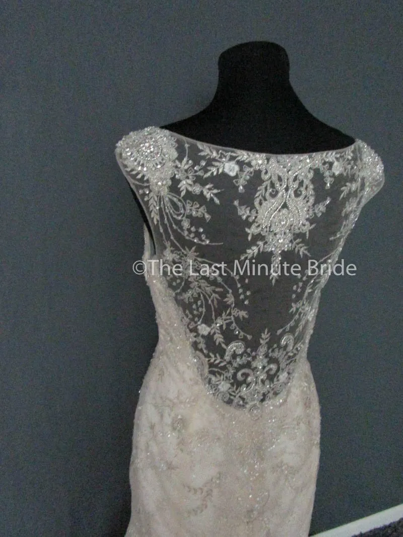 Casablanca 2227 Aster