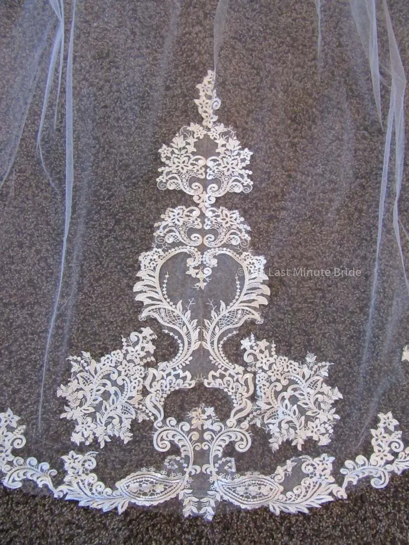 Cathedral Length Veil Style: Make You Swoon