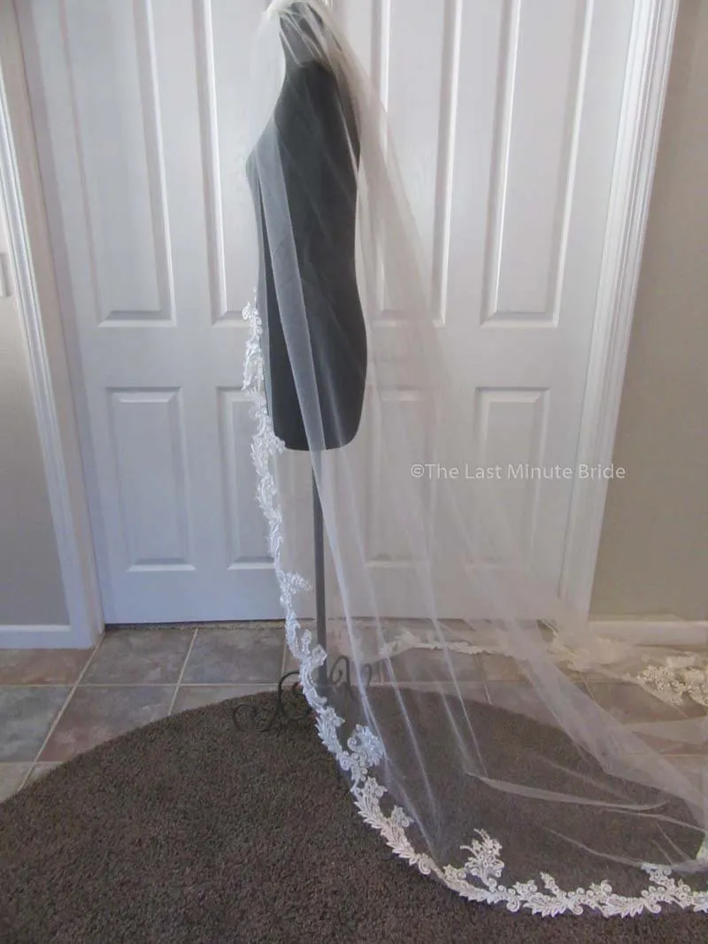 Cathedral Length Veil Style: Make You Swoon