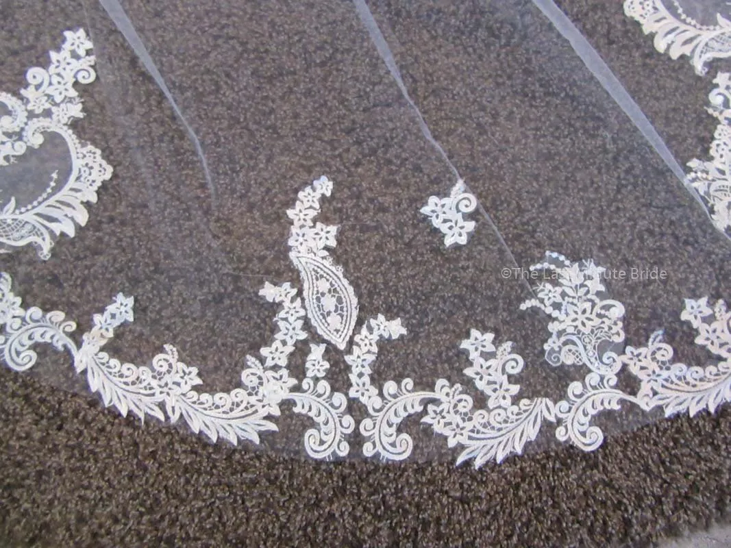 Cathedral Length Veil Style: Make You Swoon