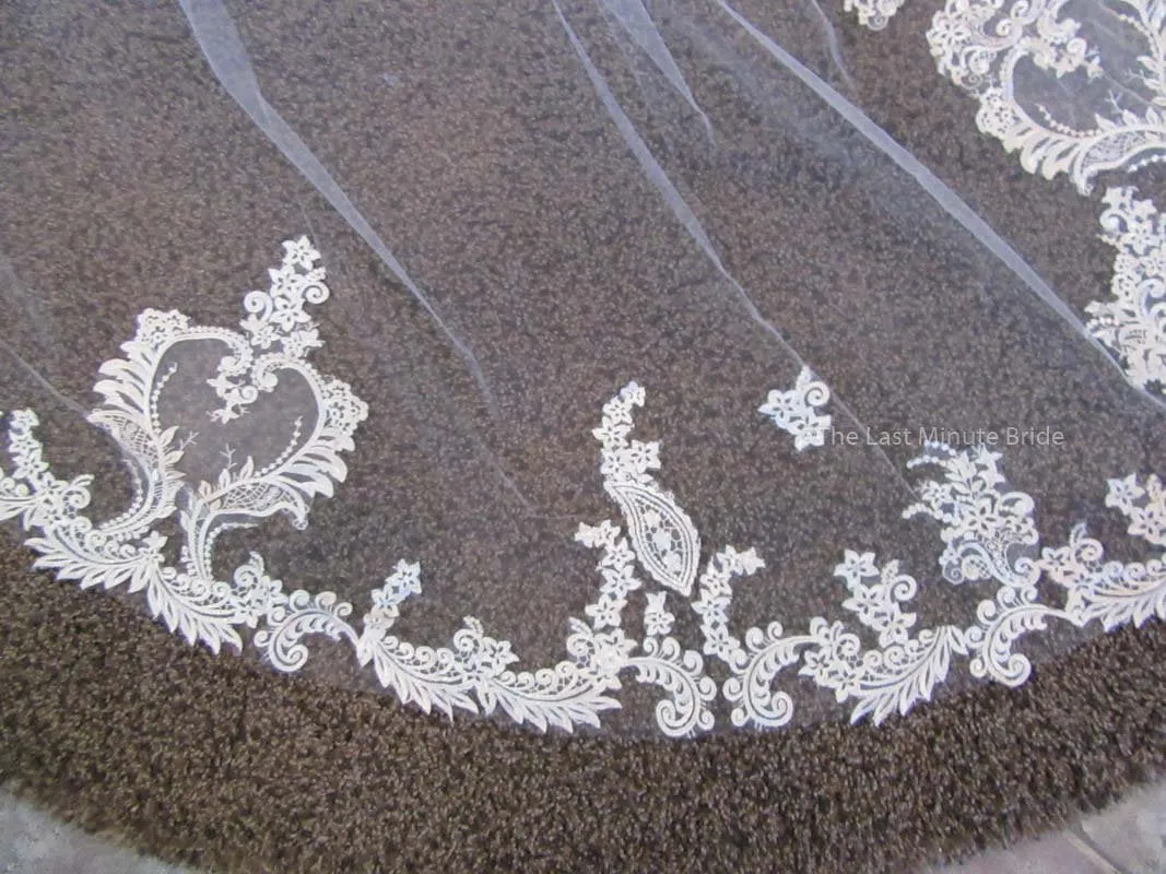 Cathedral Length Veil Style: Make You Swoon