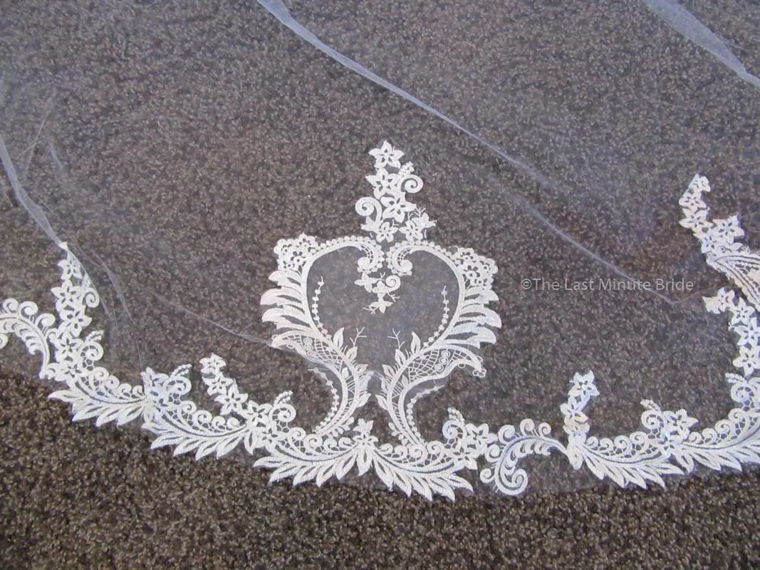 Cathedral Length Veil Style: Make You Swoon