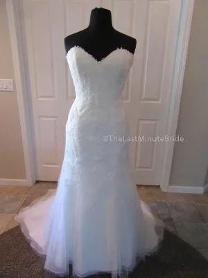 Cosmobella 7674