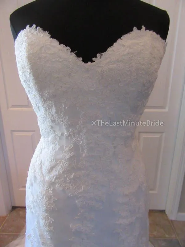 Cosmobella 7674