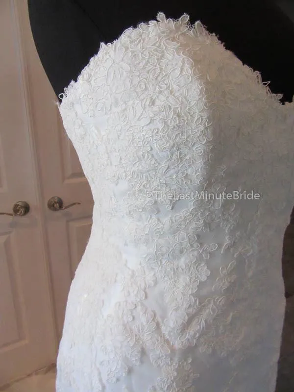 Cosmobella 7674