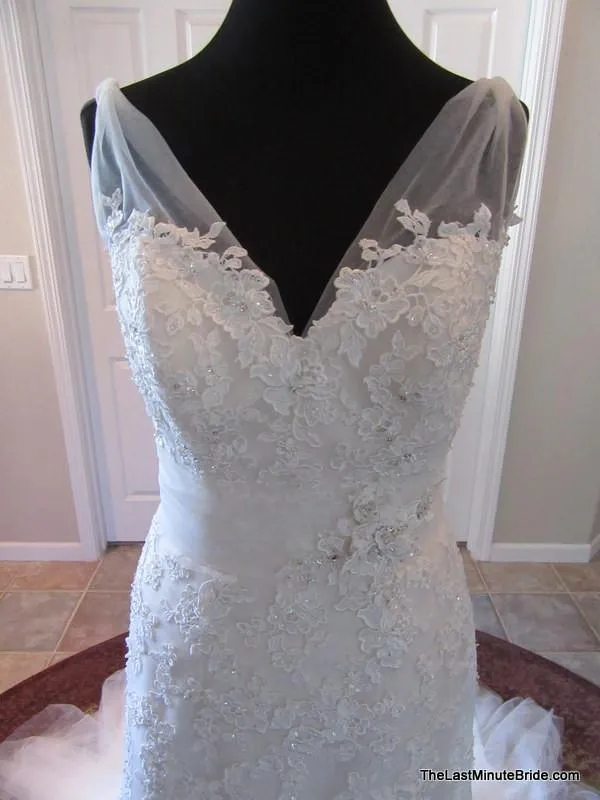 David Tutera 114284 Wilkins