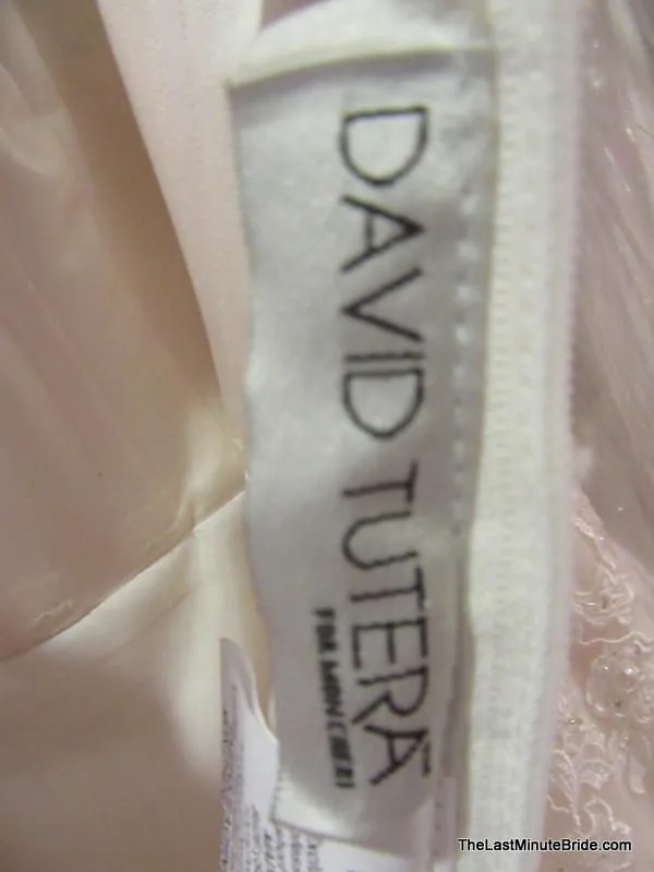 David Tutera 114284 Wilkins