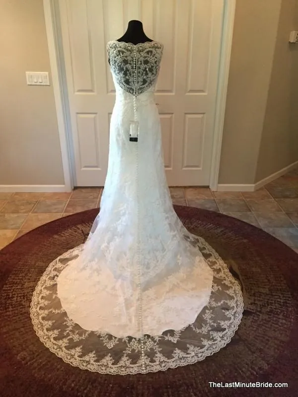 David Tutera 213246
