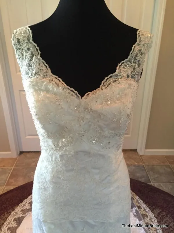 David Tutera 213246