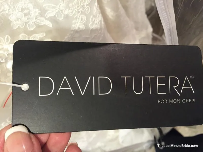 David Tutera 213246