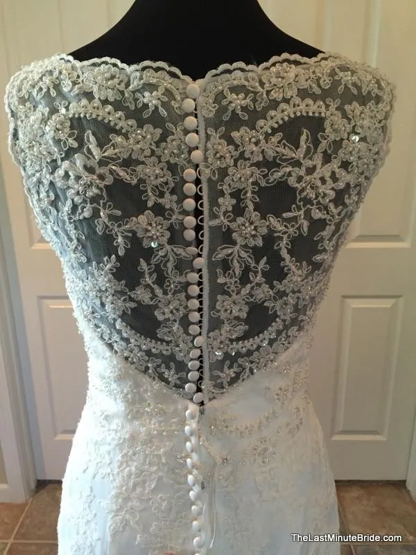 David Tutera 213246