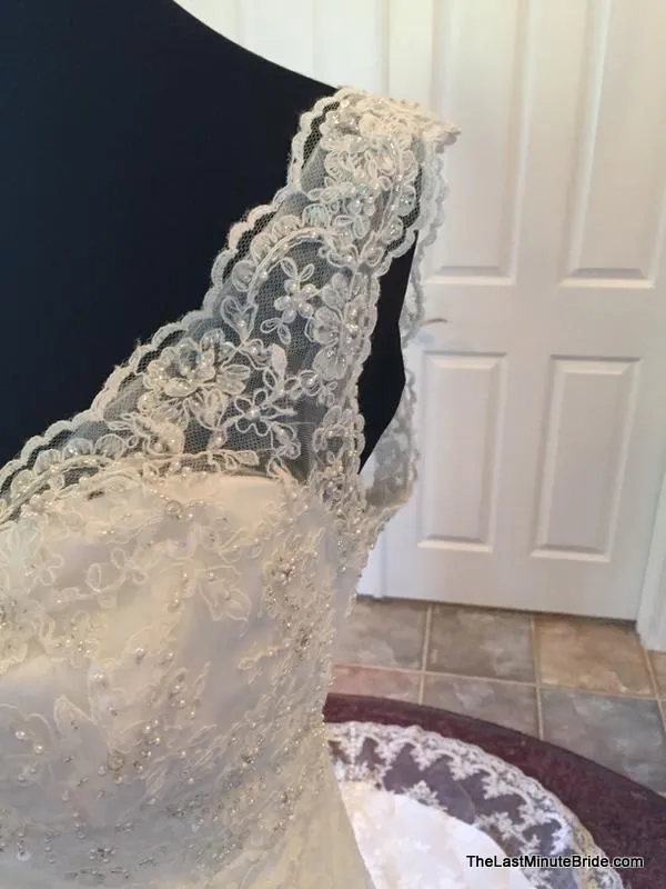 David Tutera 213246