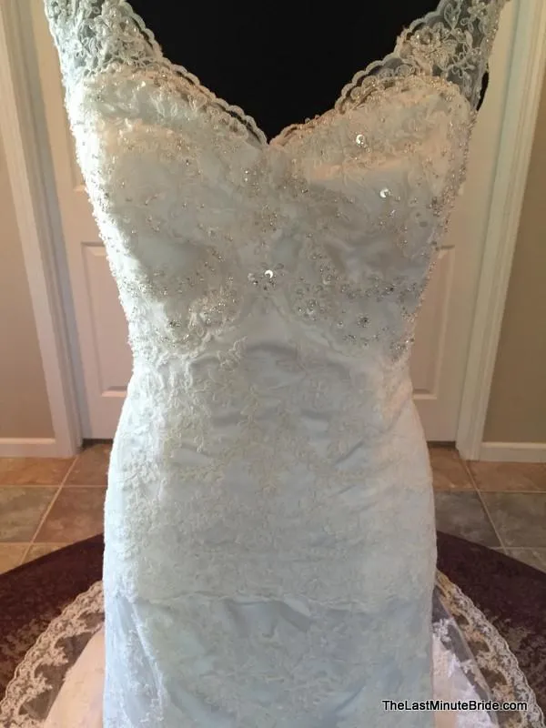 David Tutera 213246