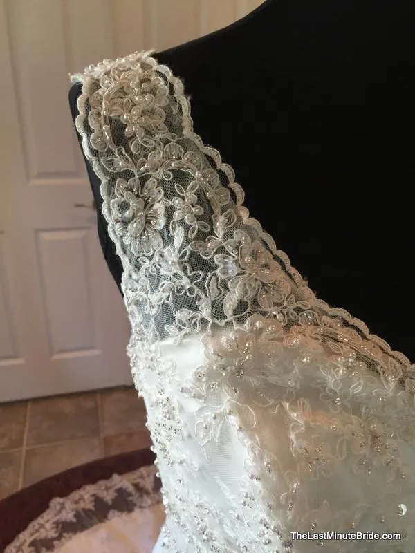 David Tutera 213246