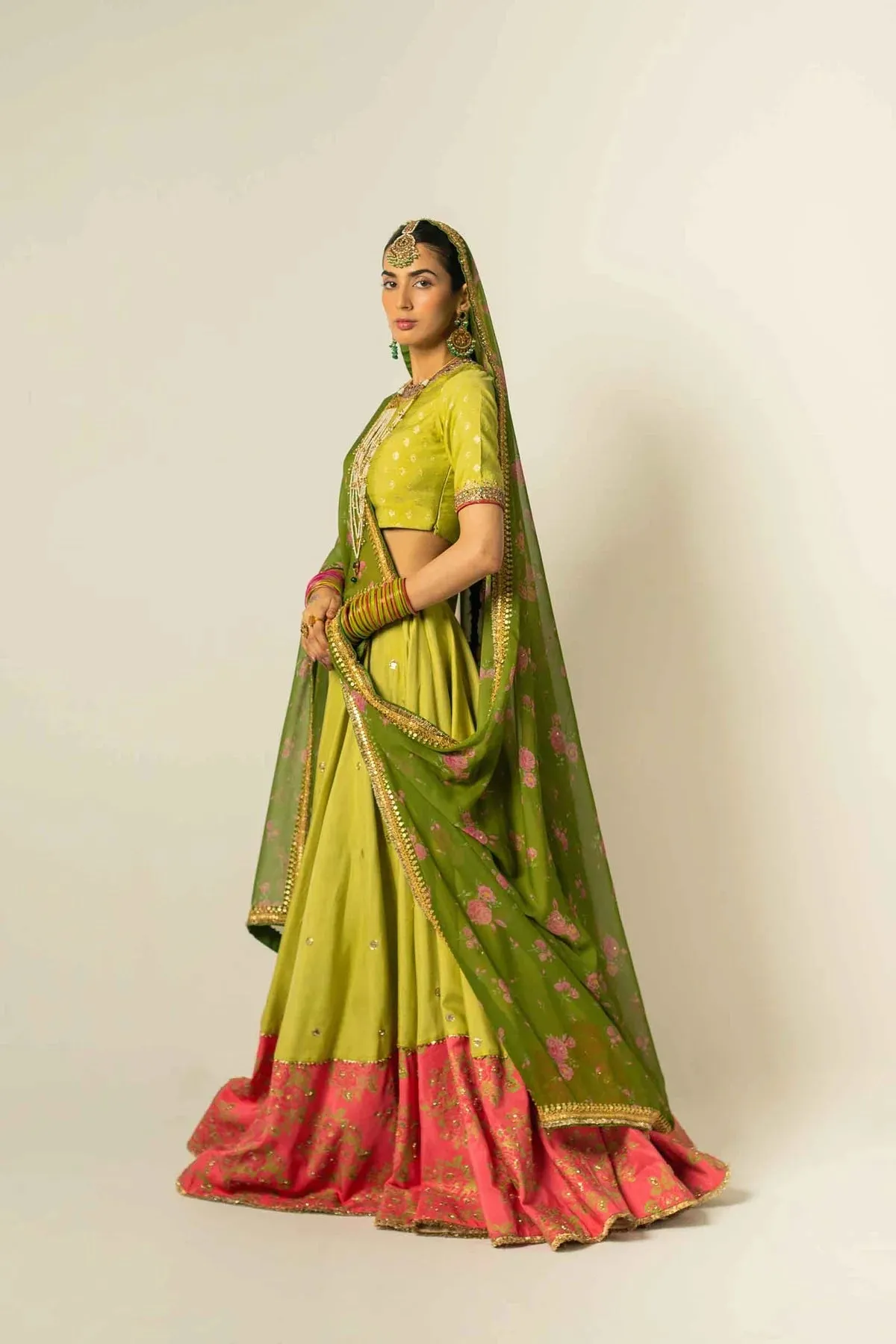 Dress in Royal Choli and Lehenga Style