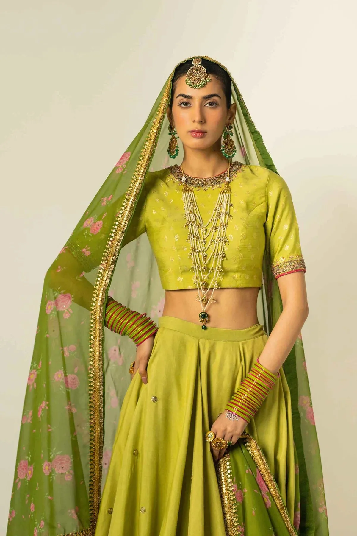Dress in Royal Choli and Lehenga Style