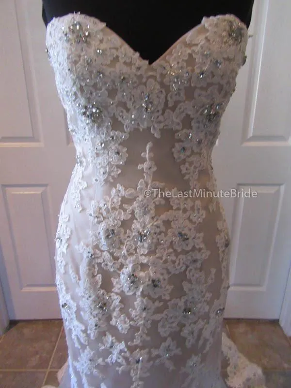 Eleni Elias P542 Size 8