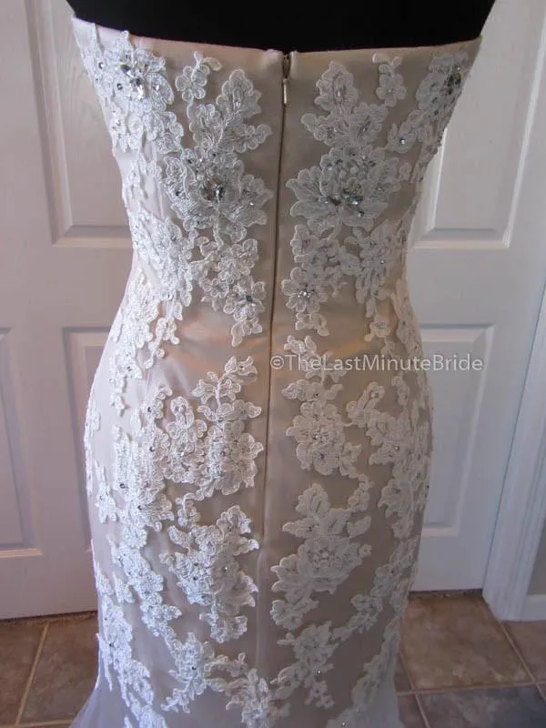 Eleni Elias P542 Size 8