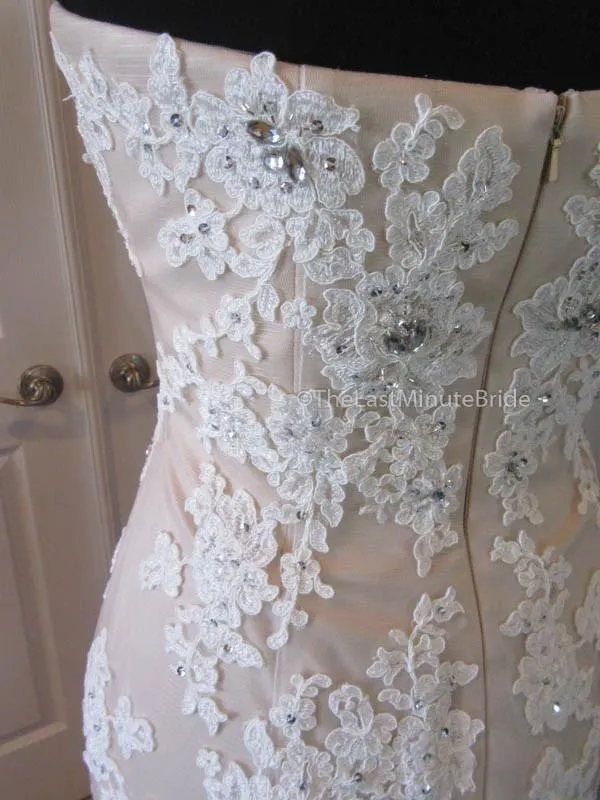 Eleni Elias P542 Size 8