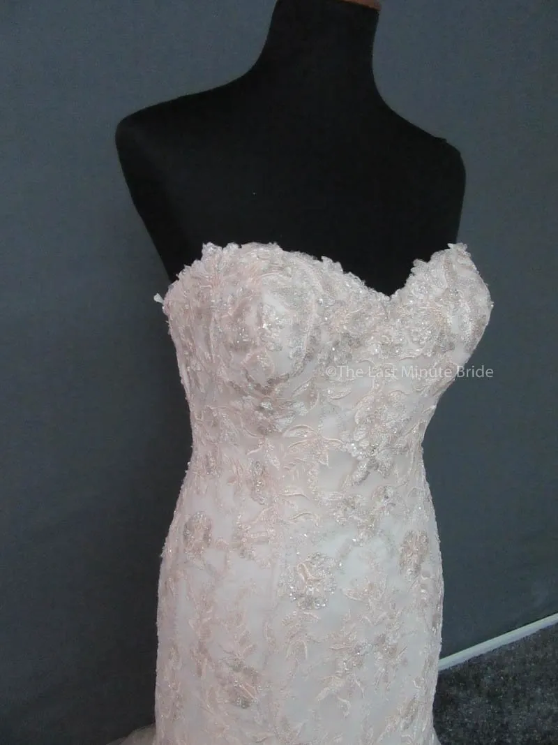 Essense of Australia D1876