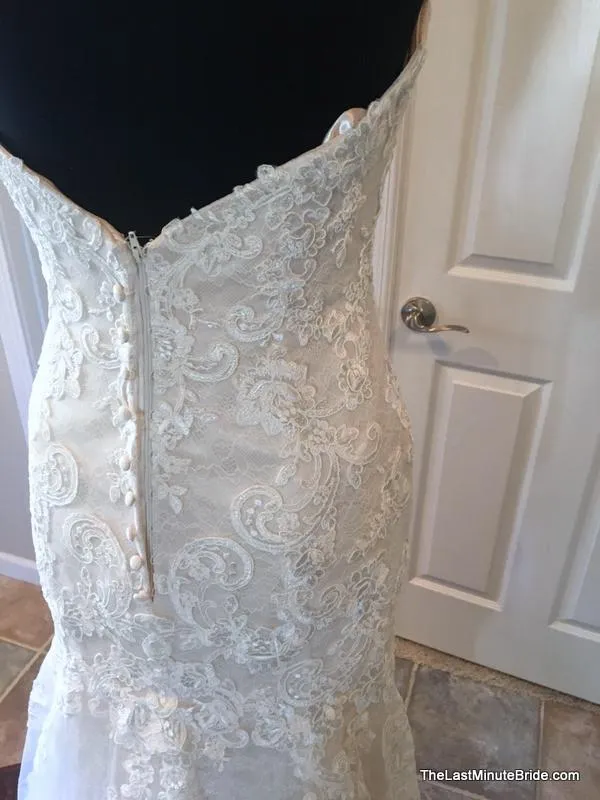 Essense of Australia D1998 Size 16