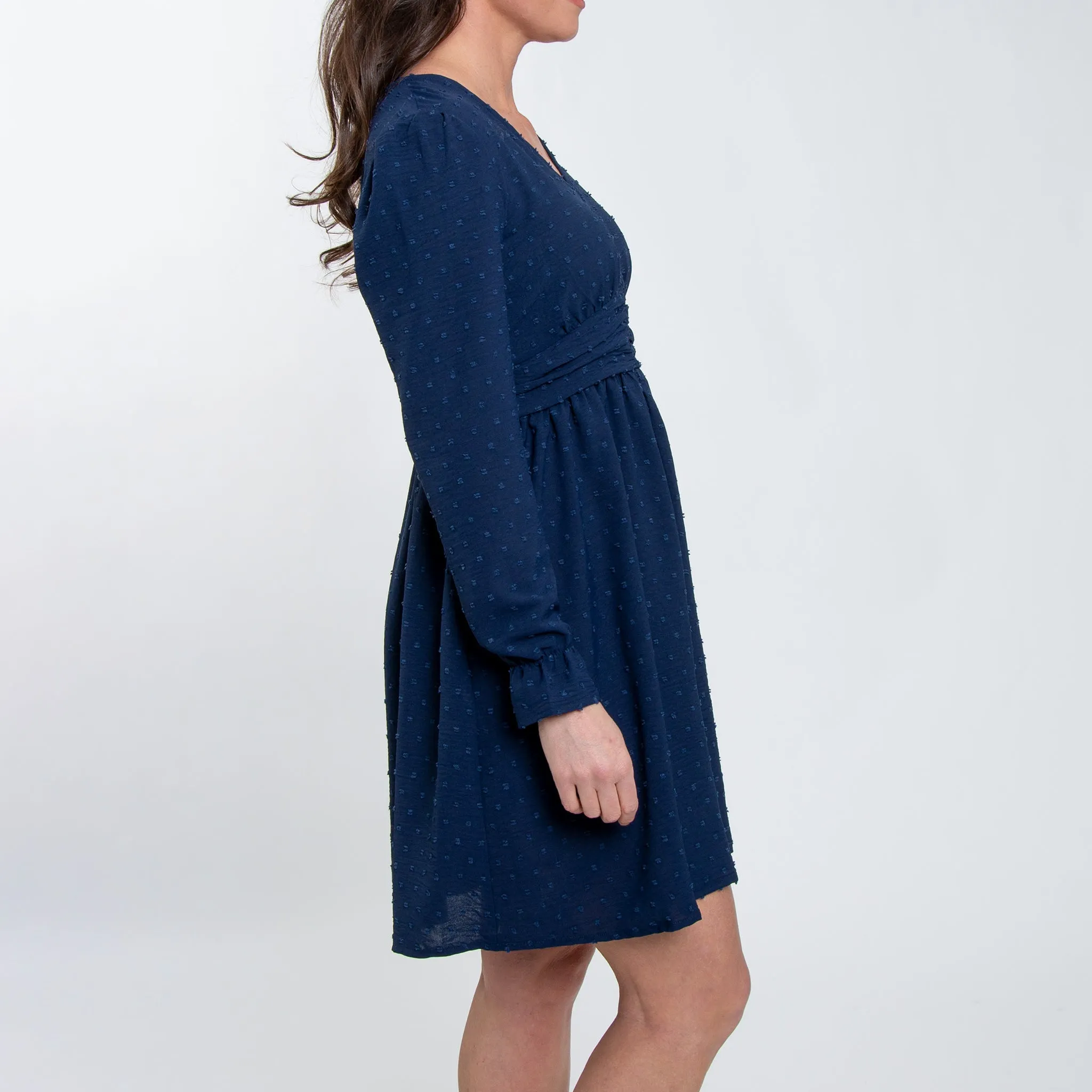 Hayden Swiss Dot Ruched V-Neck Dress