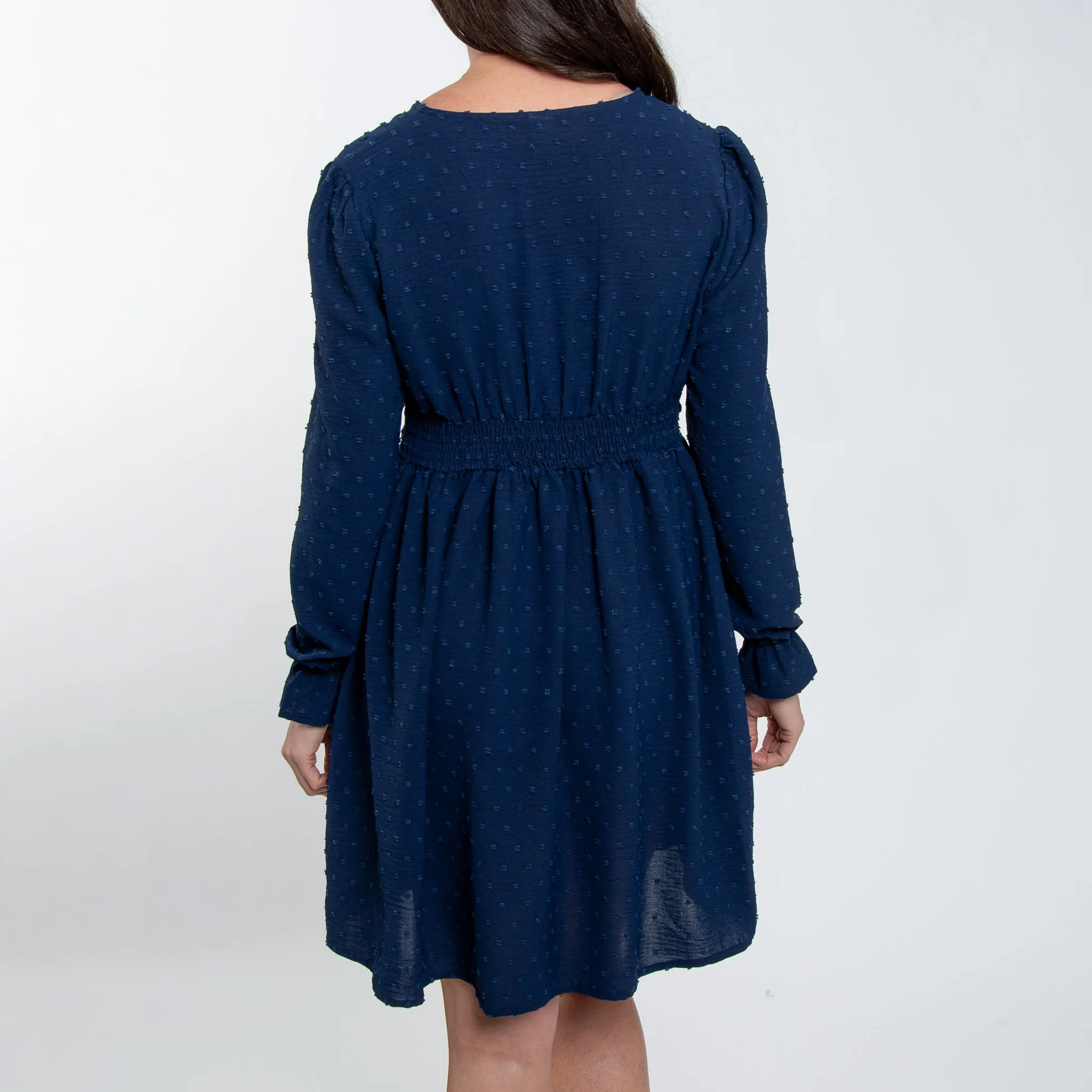 Hayden Swiss Dot Ruched V-Neck Dress