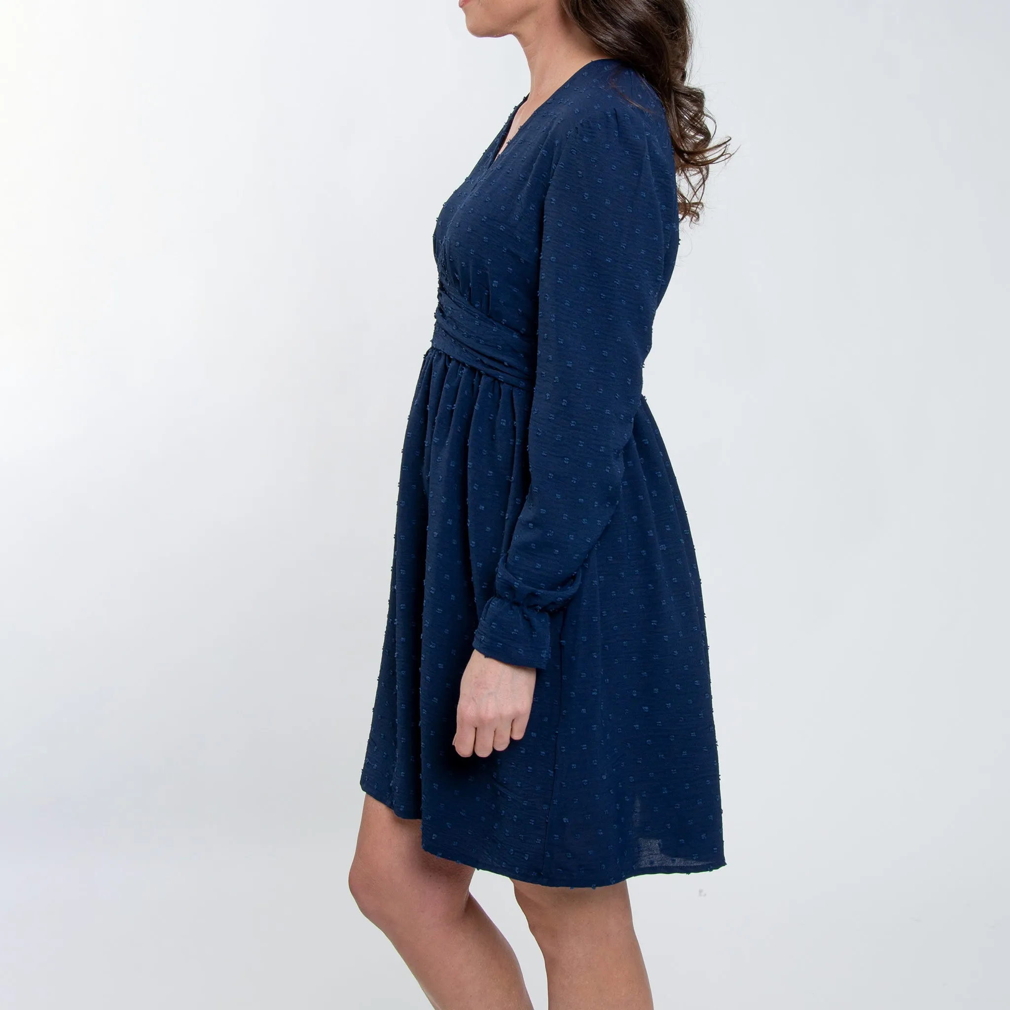 Hayden Swiss Dot Ruched V-Neck Dress