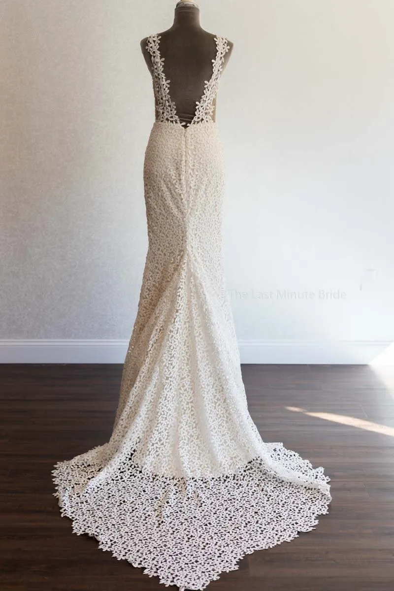 Laudae Jasmine