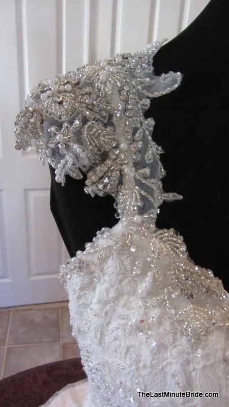 Maggie Sottero Brandy 4MS884 size 10