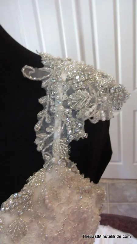 Maggie Sottero Brandy 4MS884 size 10