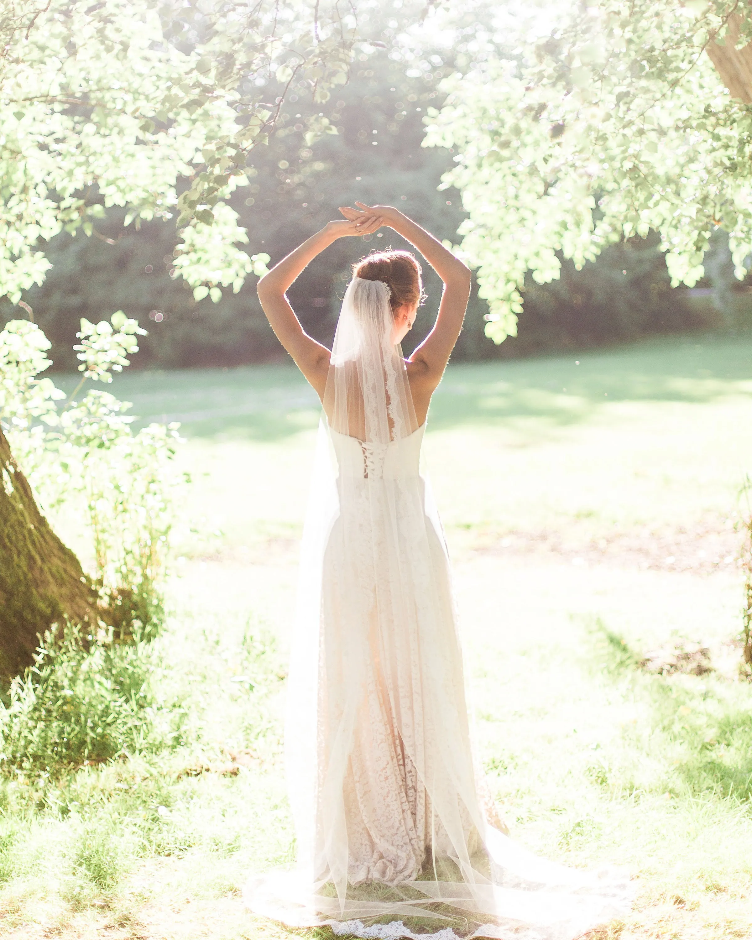 Magnolia Lace Chapel Veil