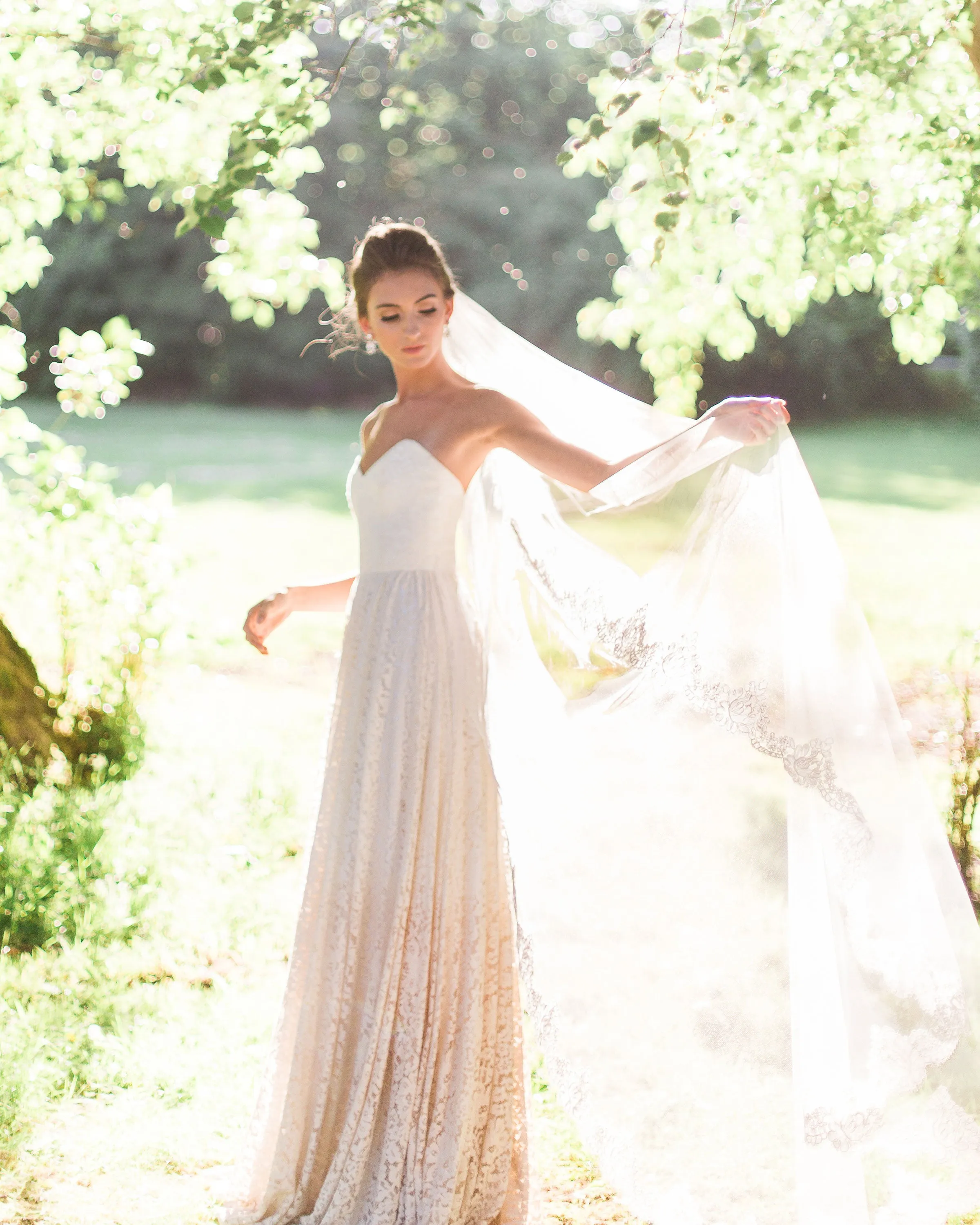 Magnolia Lace Chapel Veil
