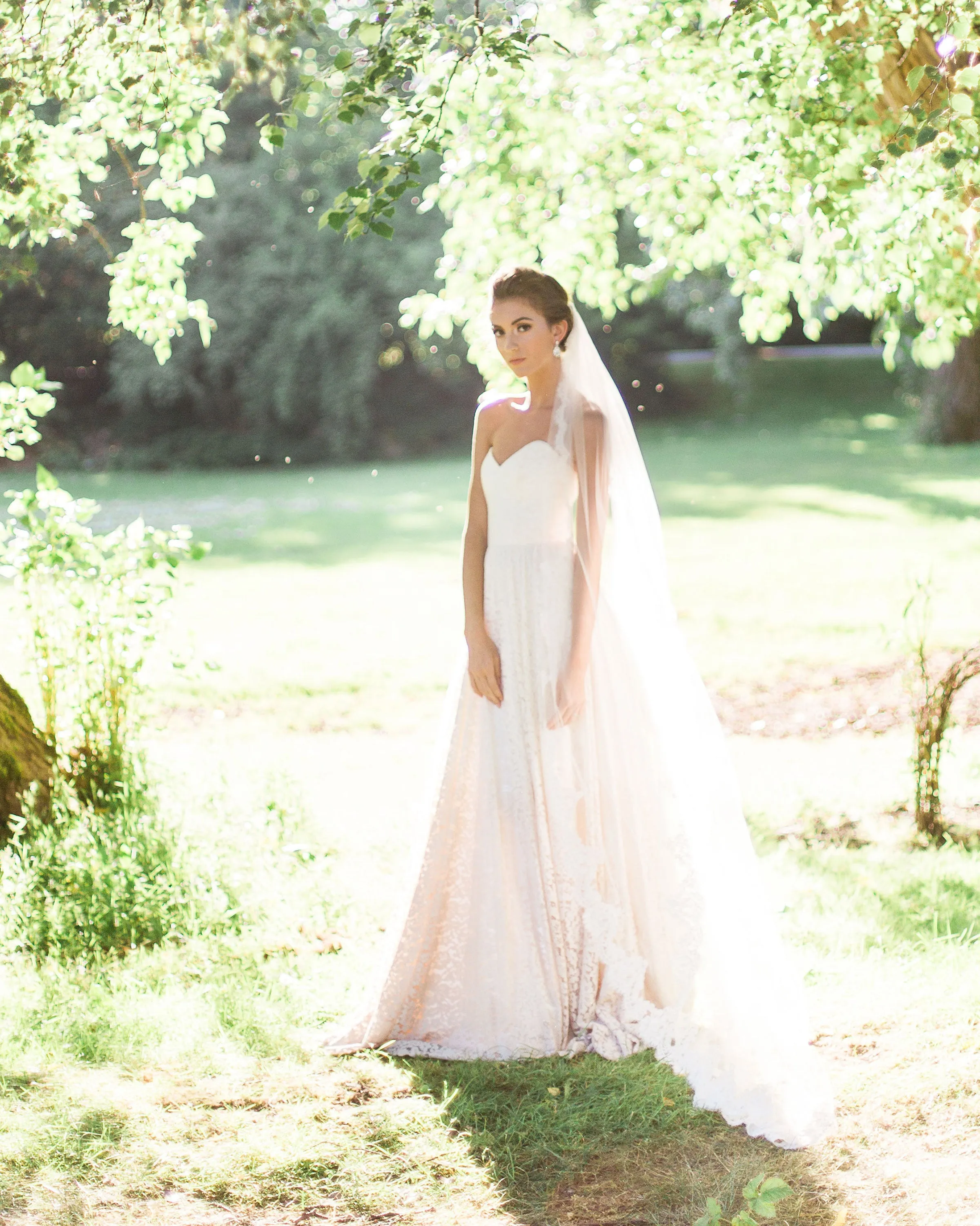 Magnolia Lace Chapel Veil