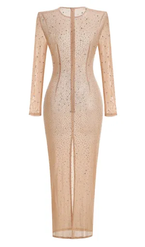 Nude Crystal Embellished Transparent Gown