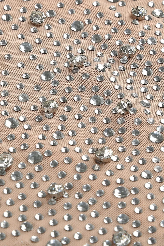 Nude Crystal Embellished Transparent Gown