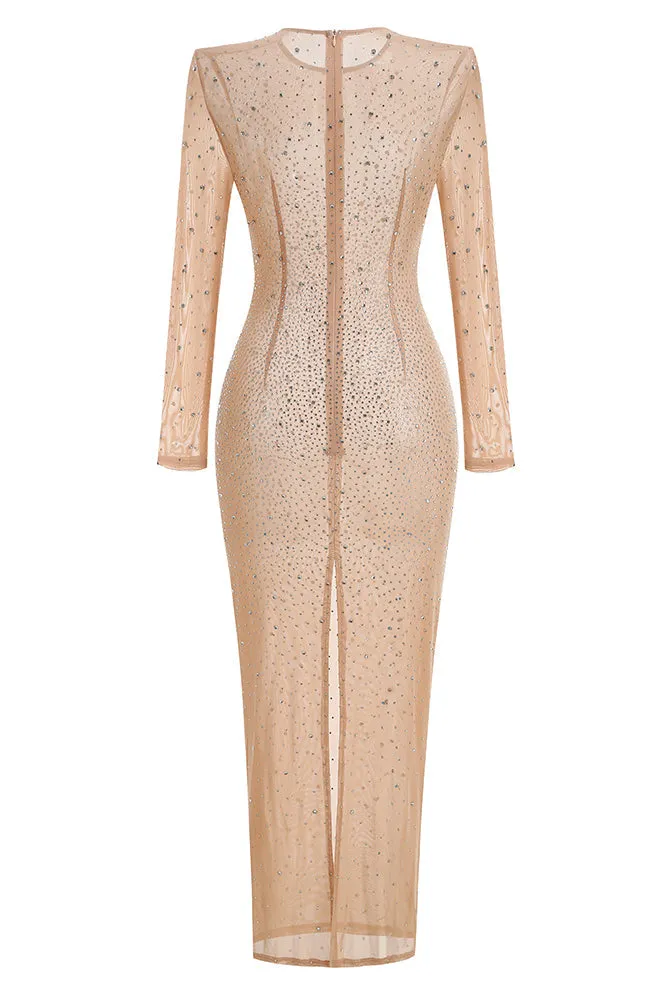 Nude Crystal Embellished Transparent Gown