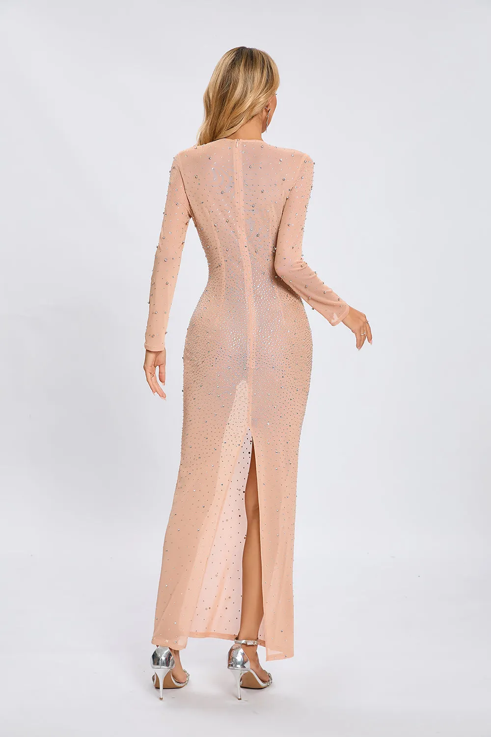 Nude Crystal Embellished Transparent Gown